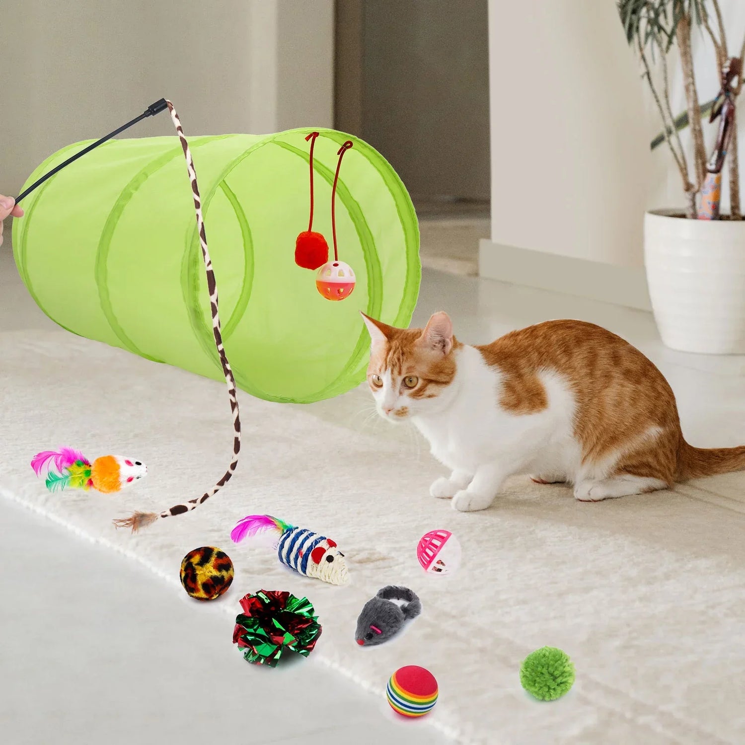 Cat Toys