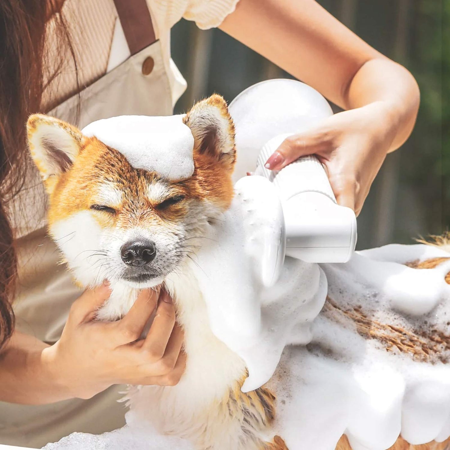 Shampoo and Conditioner