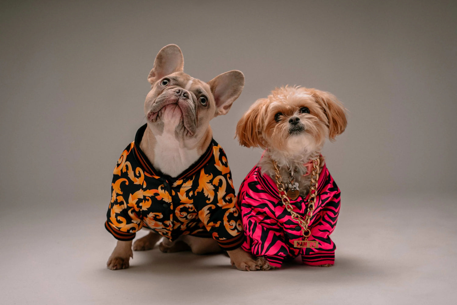Pet Apparel