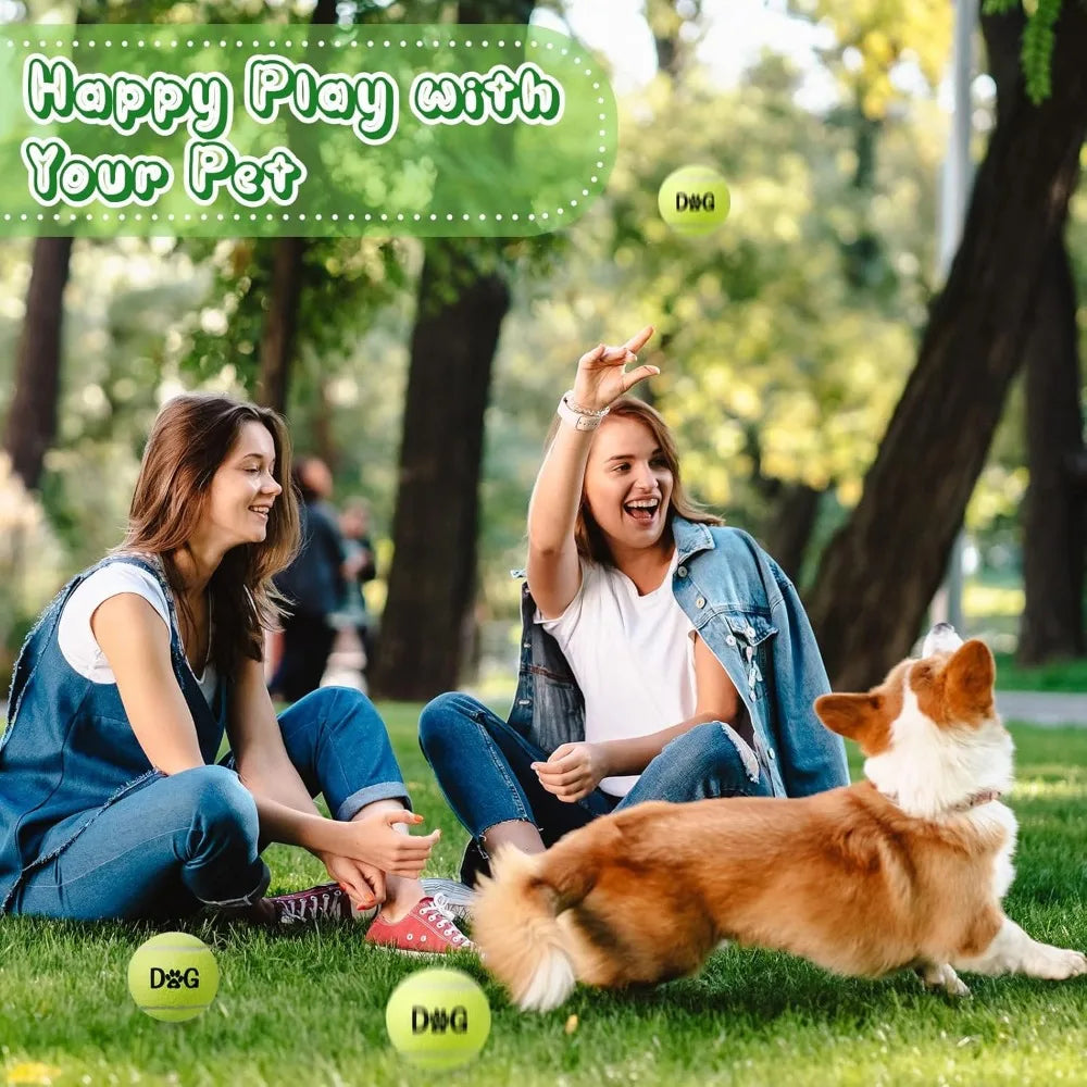 40 Pack Tennis Balls Dog Toys Bulk 2.5 Inch with Carry Bags, Easy Catching Interactive Fetch for Pet Puppy Small Medium Large Do