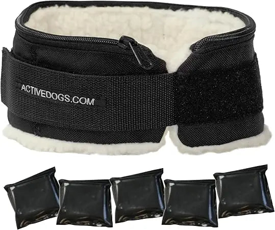 Weighted Dog Collar for Muscle Building and Tactical Training - Exercise Dog Vest with 5x1lb Weights Included for Enhanced Fitne