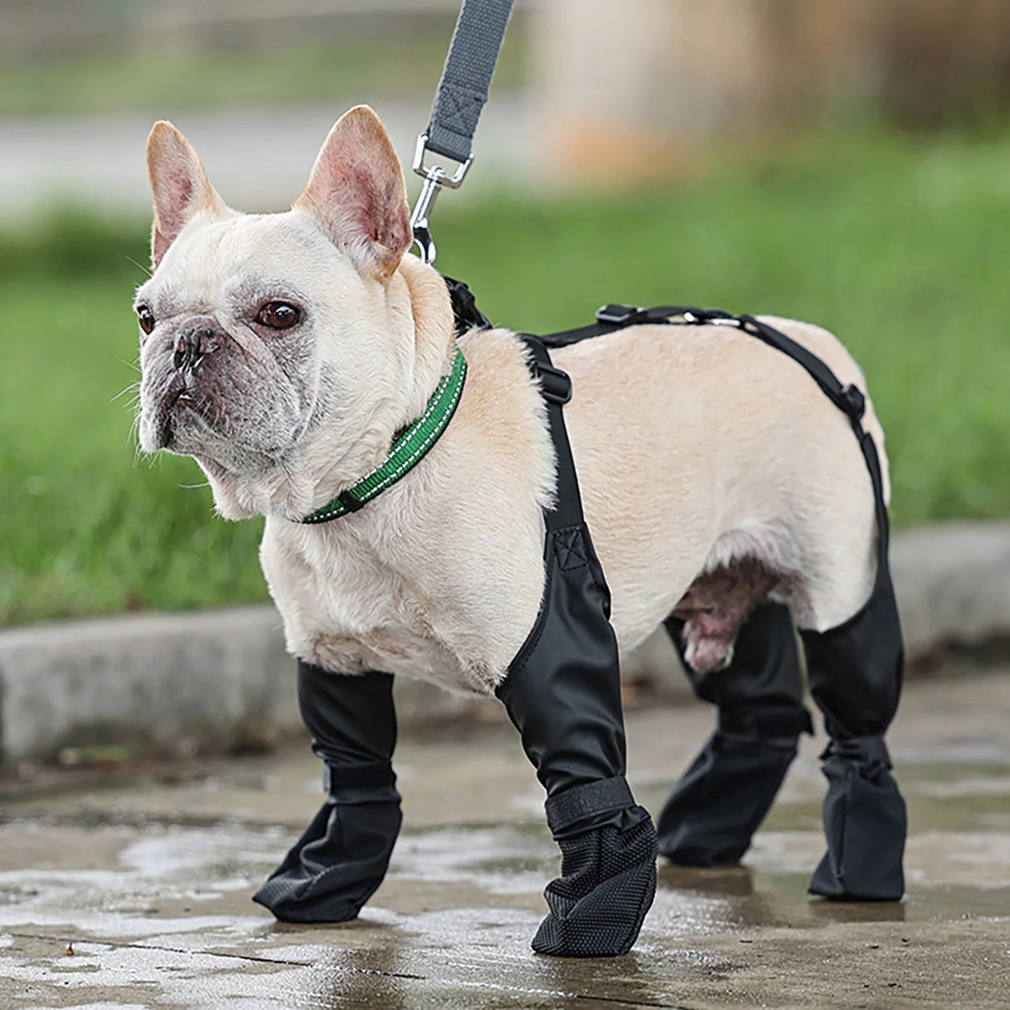 Adjustable Protective All-Weather Dog Pants Dog Paw Protector with Auxiliary Strap Protects From Winter Cold for Dogs