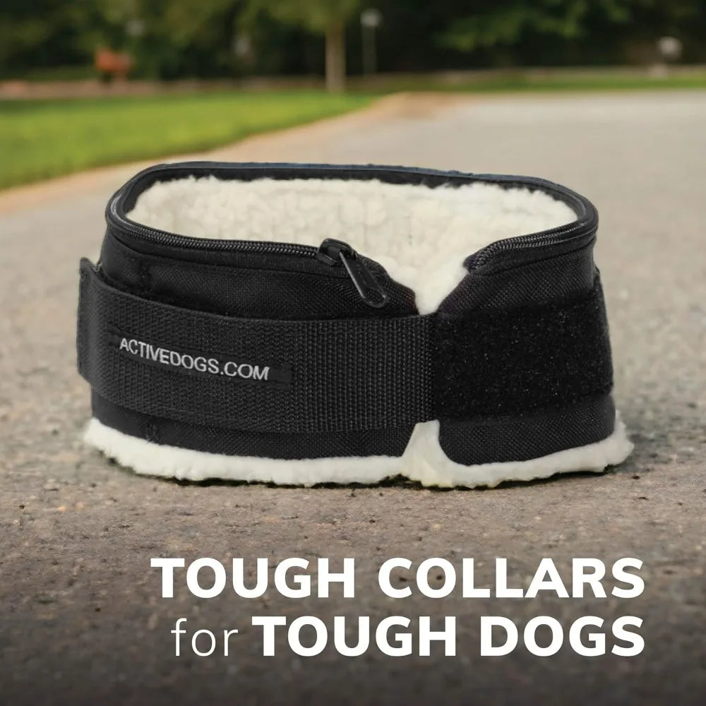 Weighted Dog Collar for Muscle Building and Tactical Training - Exercise Dog Vest with 5x1lb Weights Included for Enhanced Fitne