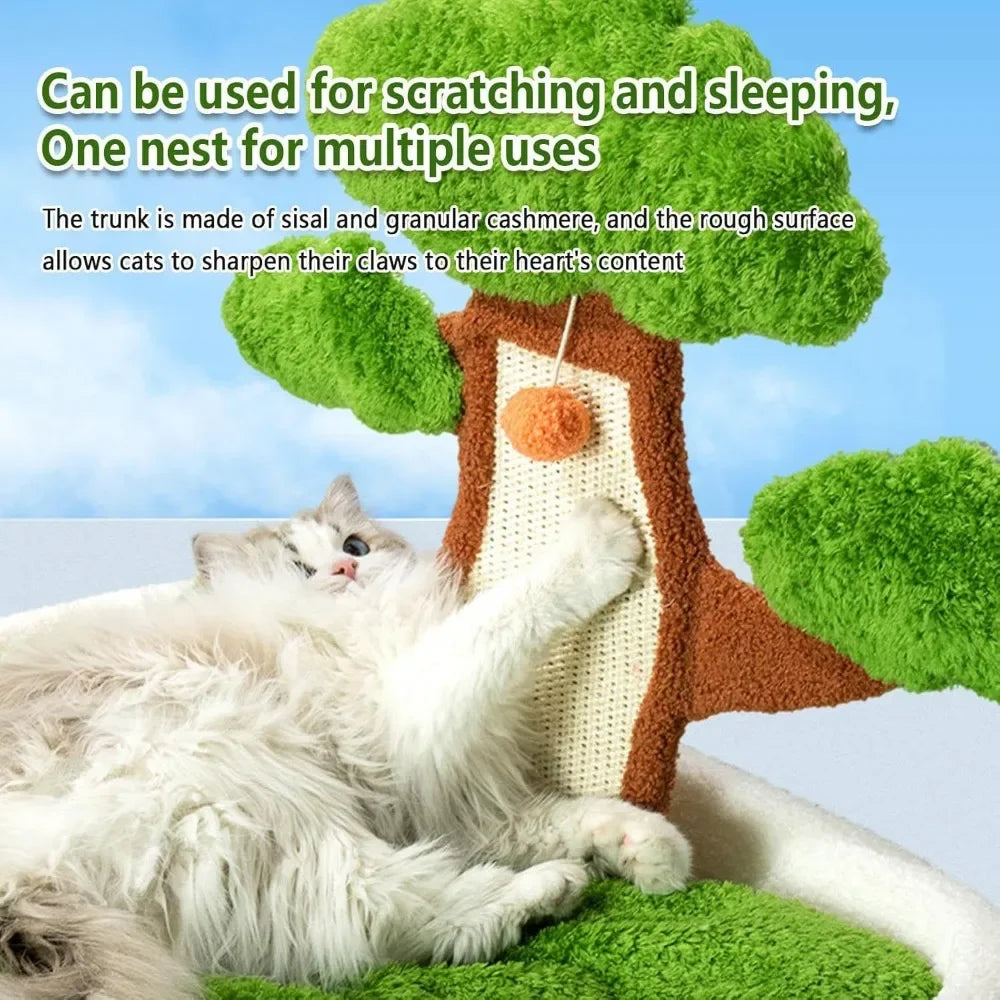 Cat Scratching Post with Bed with Scratch Pad and Fluffy Ball, Small Cat Tree with Removable Washable Cushioned Pillow,