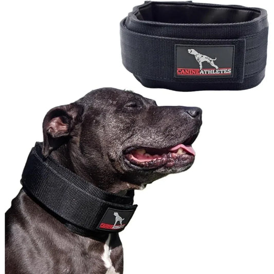 3 Elite-HD Weighted Working Dog Collar 3LB Black Designed for High-Performance Training and Behavioral Conditioning in Service