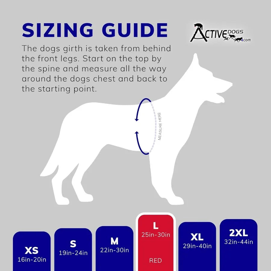 ActiveDogs Full Service Dog Kit - Service Dog Vest Harness with Handle ID Holder Medical Alert Keychain Leash Patches - Large S