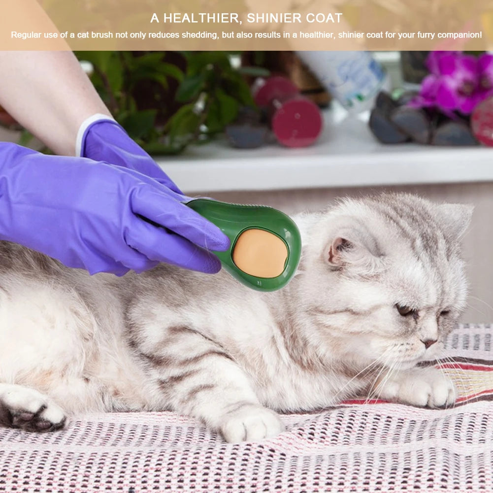 Electric Dog Steamer Brush Grooming 3 in 1 Dog Steam Brush Pet Remove Tangles and Loose Hair for Massage Steamy Cat Supplies