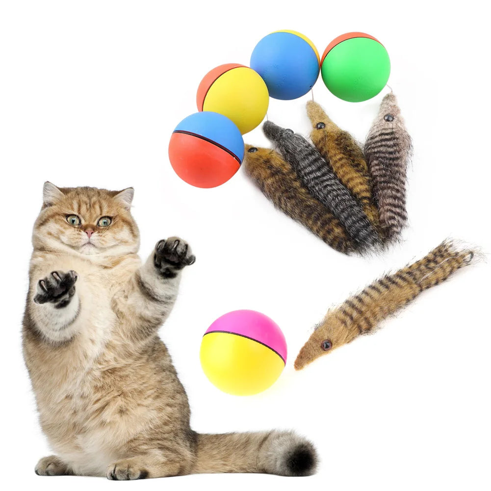 Dog Cat Beaver Weasel Funny Rolling Ball Pet Toy Electric Ball Toy Cat Chaser Toy for Indoor Cats