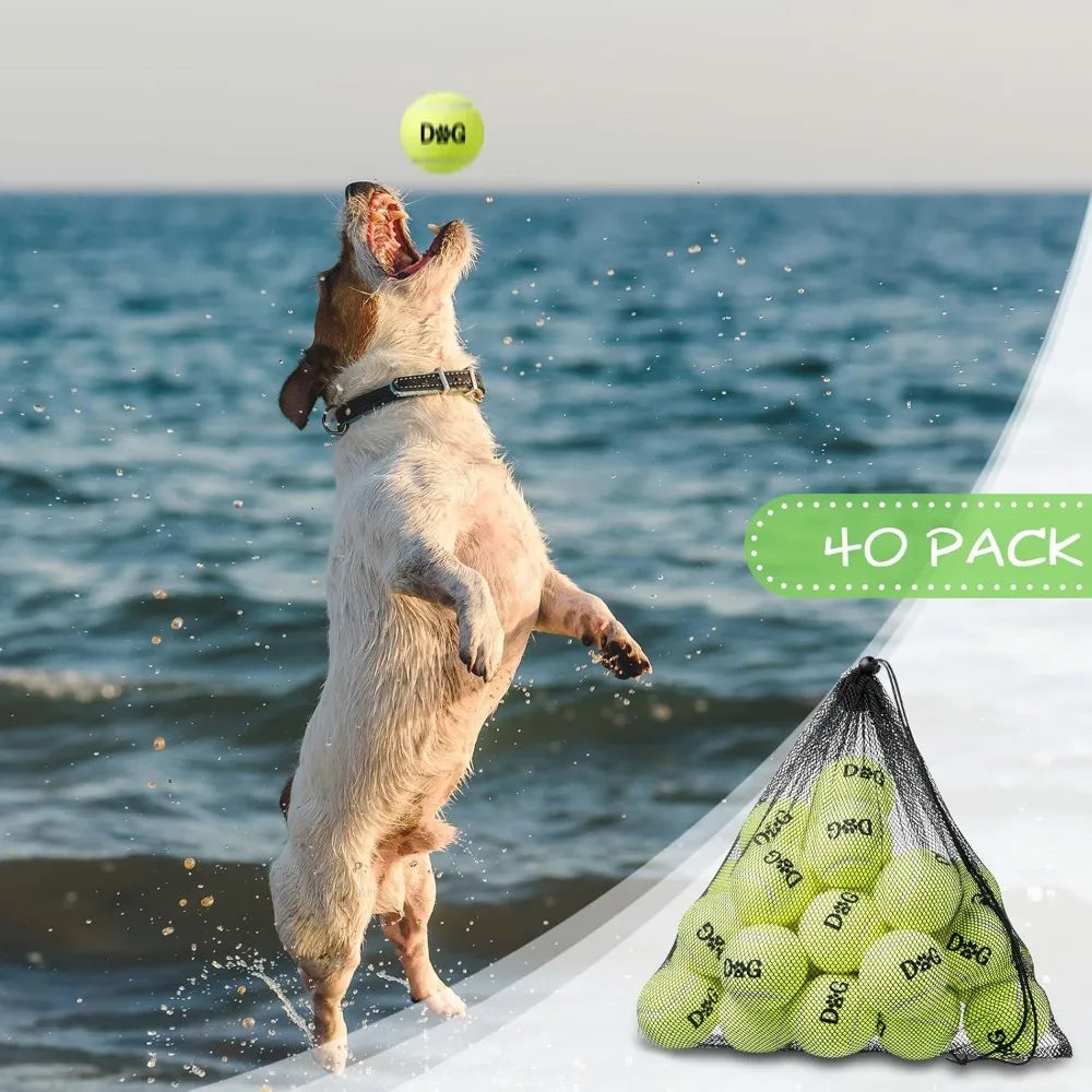 40 Pack Tennis Balls Dog Toys Bulk 2.5 Inch with Carry Bags, Easy Catching Interactive Fetch for Pet Puppy Small Medium Large Do