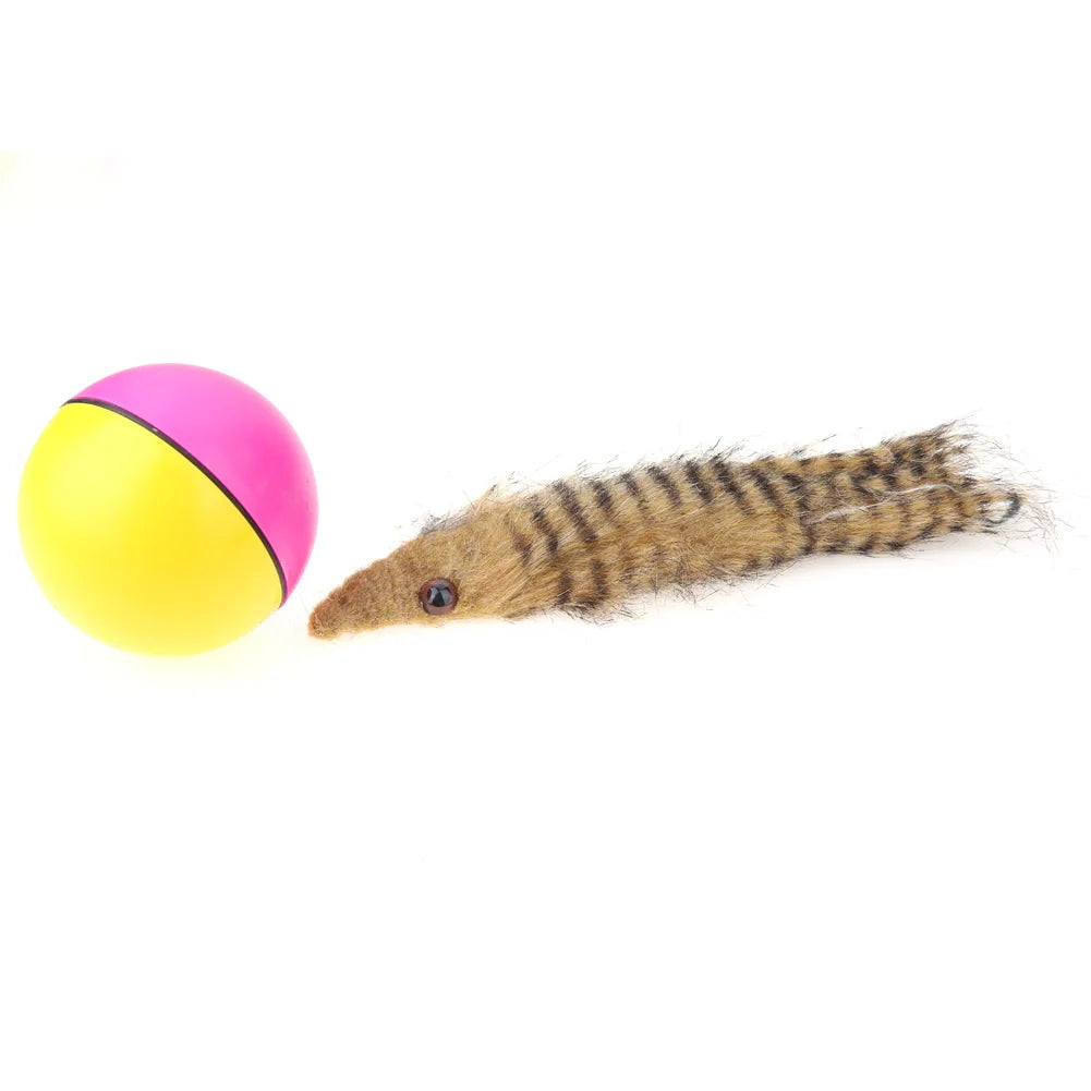 Dog Cat Beaver Weasel Funny Rolling Ball Pet Toy Electric Ball Toy Cat Chaser Toy for Indoor Cats