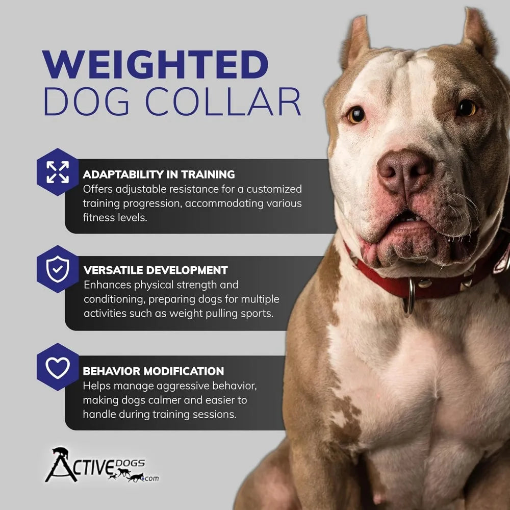 Weighted Dog Collar for Muscle Building and Tactical Training - Exercise Dog Vest with 5x1lb Weights Included for Enhanced Fitne