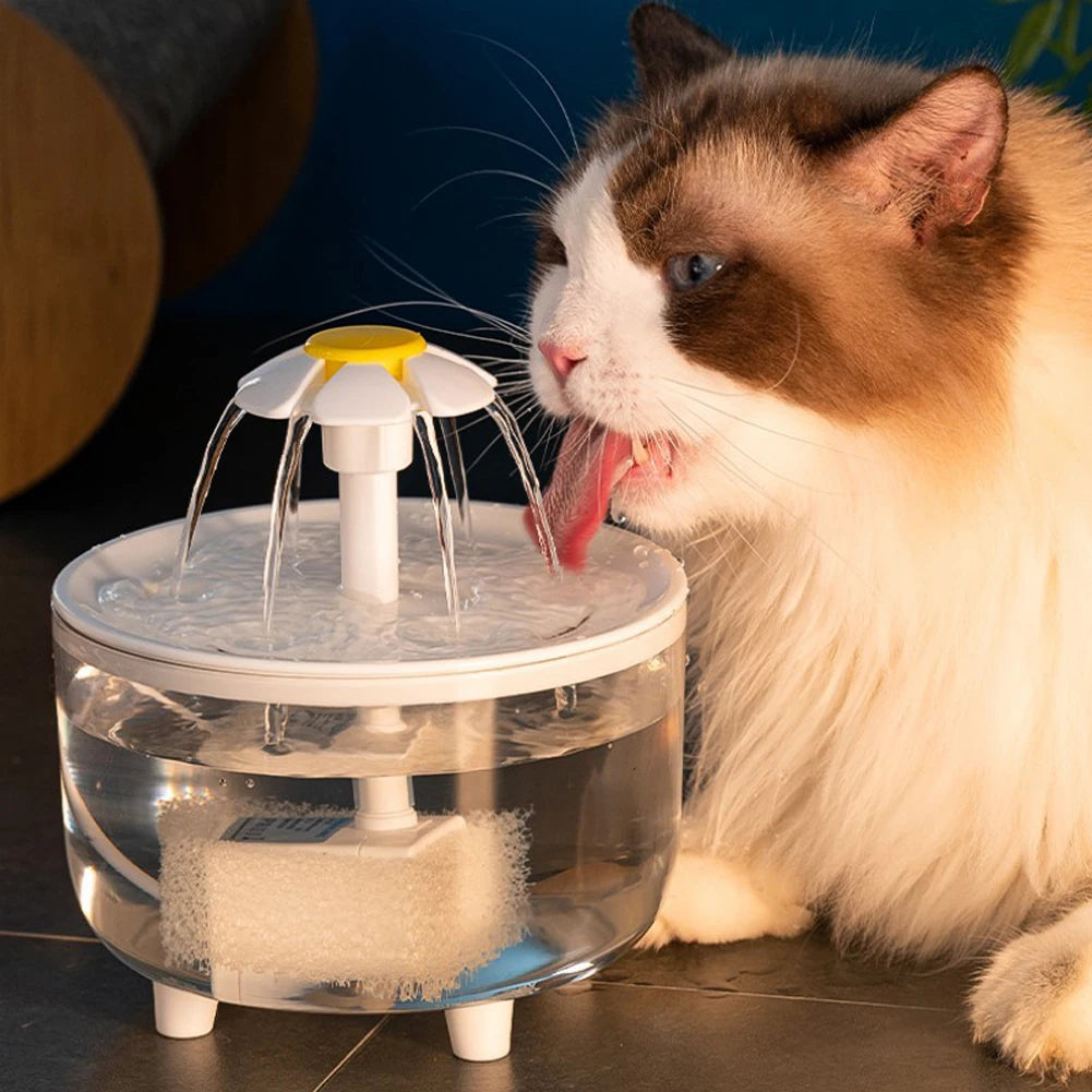 Cat Water Fountain Pet Drinking Dispenser Drinker Auto Filter Transparent Cat Drinker Automatic Cat Drink Bowl Filter