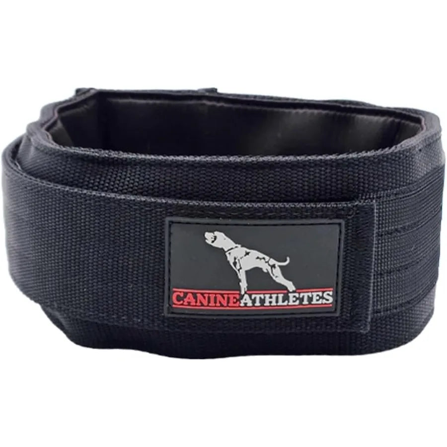 3 Elite-HD Weighted Working Dog Collar 3LB Black Designed for High-Performance Training and Behavioral Conditioning in Service