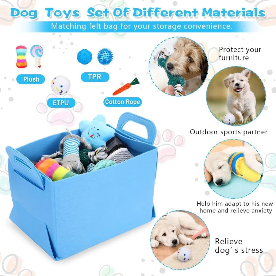 65 Pcs Puppy Supplies Starter Kit Small Dog Essentials Includes Dog Leash Toys Bowl Brushes Water Bottles Pet Blankets Puppy Ac