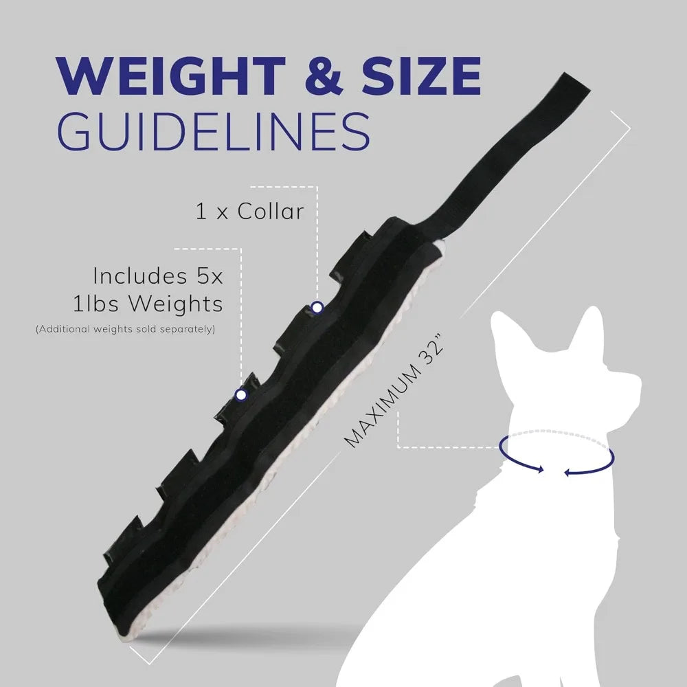 Weighted Dog Collar for Muscle Building and Tactical Training - Exercise Dog Vest with 5x1lb Weights Included for Enhanced Fitne