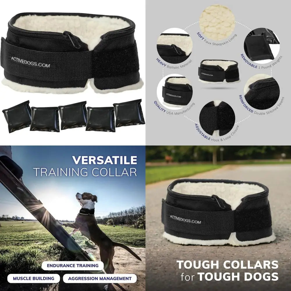 Weighted Dog Collar for Muscle Building and Tactical Training - Exercise Dog Vest with 5x1lb Weights Included for Enhanced Fitne