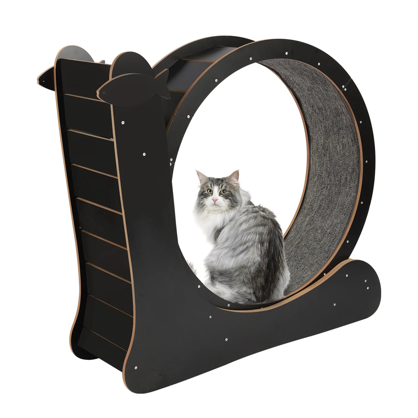 Cat Exercise Wheel, Large Cat Treadmill With Carpet Runway For Indoor Cats 43.3 * 13.4 * 40.1 Inches (Black)