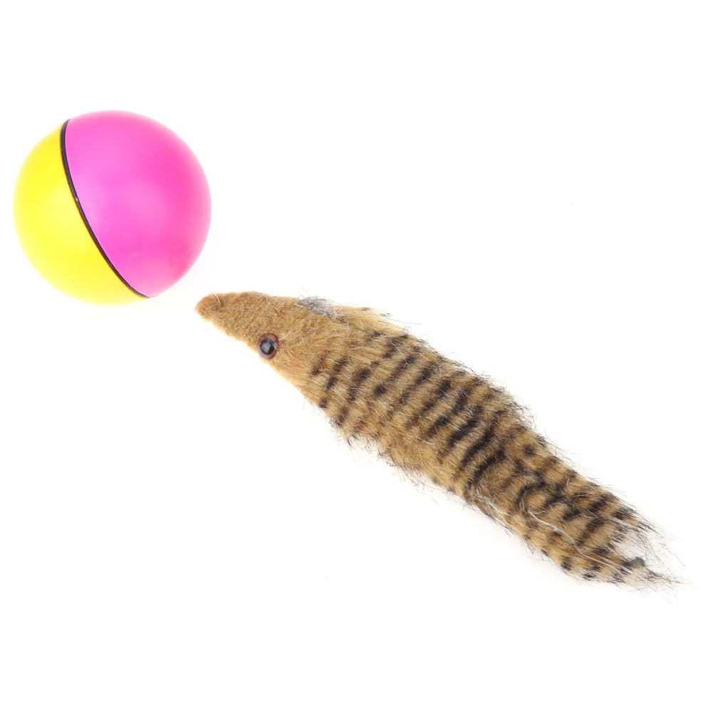 Dog Cat Beaver Weasel Funny Rolling Ball Pet Toy Electric Ball Toy Cat Chaser Toy for Indoor Cats